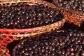 Acai