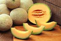 Cataloupe-Melone