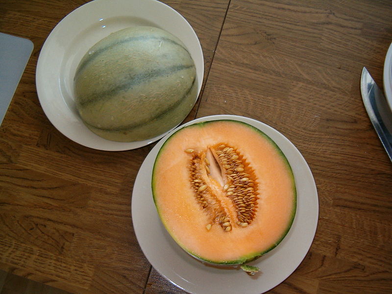 Charentais-Melone (Cucumis melo var. cantalupensis 'Alienor')