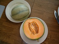Charentais-Melone