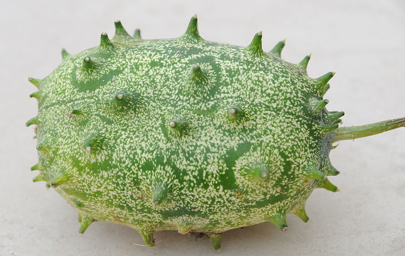 Kiwano (Cucumis metuliferus)