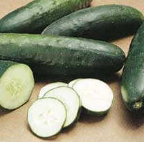 Salatgurken (Cucumis sativus)