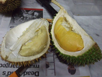 Durian Frucht