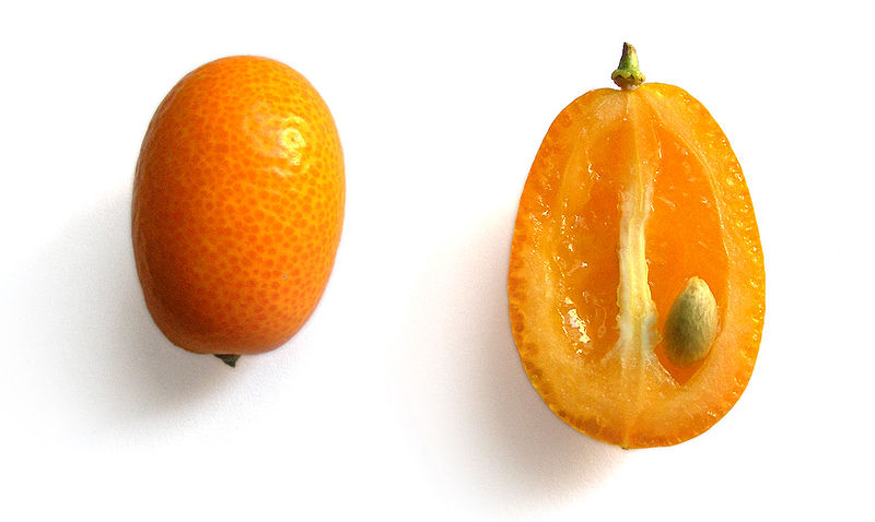Kumquat (Fortunella)