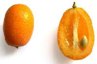 Kumquat Frucht