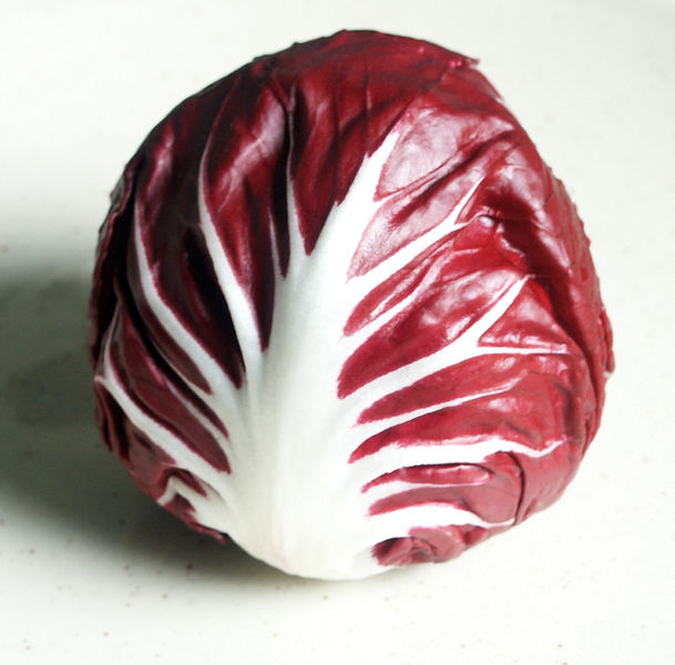 Radicchio