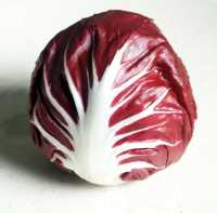 Radicchio (Cichorium intybus var. foliosum)