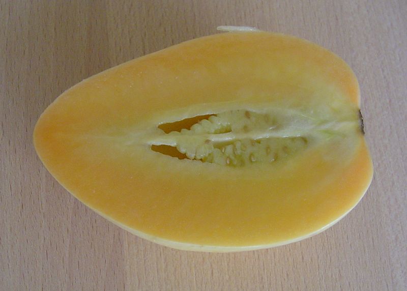 Pepino oder Melonenbirne (Solanum muricatum)