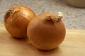 Zwiebel (Allium cepa)