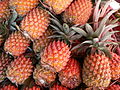 Ananas (Ananas comosus)