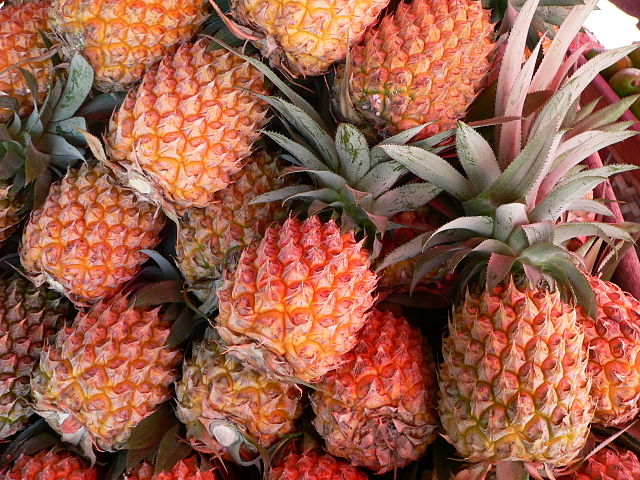 Ananas (Ananas comosus)