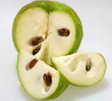 Cherimoya (Annona cherimola)