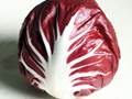 Radicchio (Cichorium intybus var. foliosum)