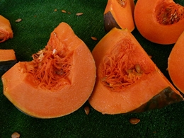 Kürbis (Cucurbita pepo)