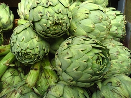 Artischocke (Cynara scolymus)