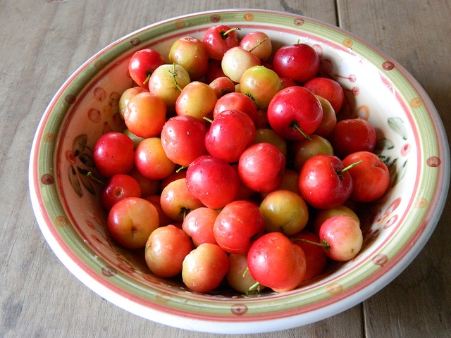 Acerola (Malpighia glabra)