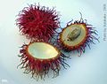 Rambutan (Nephelium lappaceum)