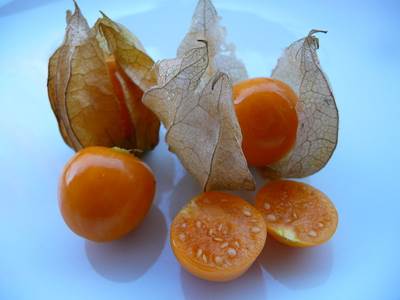 Kapstachelbeere - Frucht (Physalis peruviana)