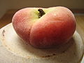 Prunus persica var. platycarpa