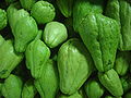 Chayote (Sechium edule)