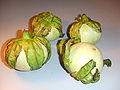 Igbagba (Solanum macrocapon)