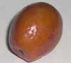 Ziziphus jujuba, Frucht, Urheber: Bertrouf, Wikimedia, CC BY-SA 3.0 Frucht der Chinesischen Jujube (Ziziphus jujuba)